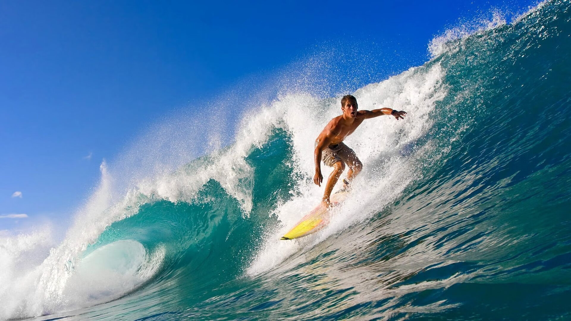 NBA球员个人技术特写,nba球员技术水平多厉害